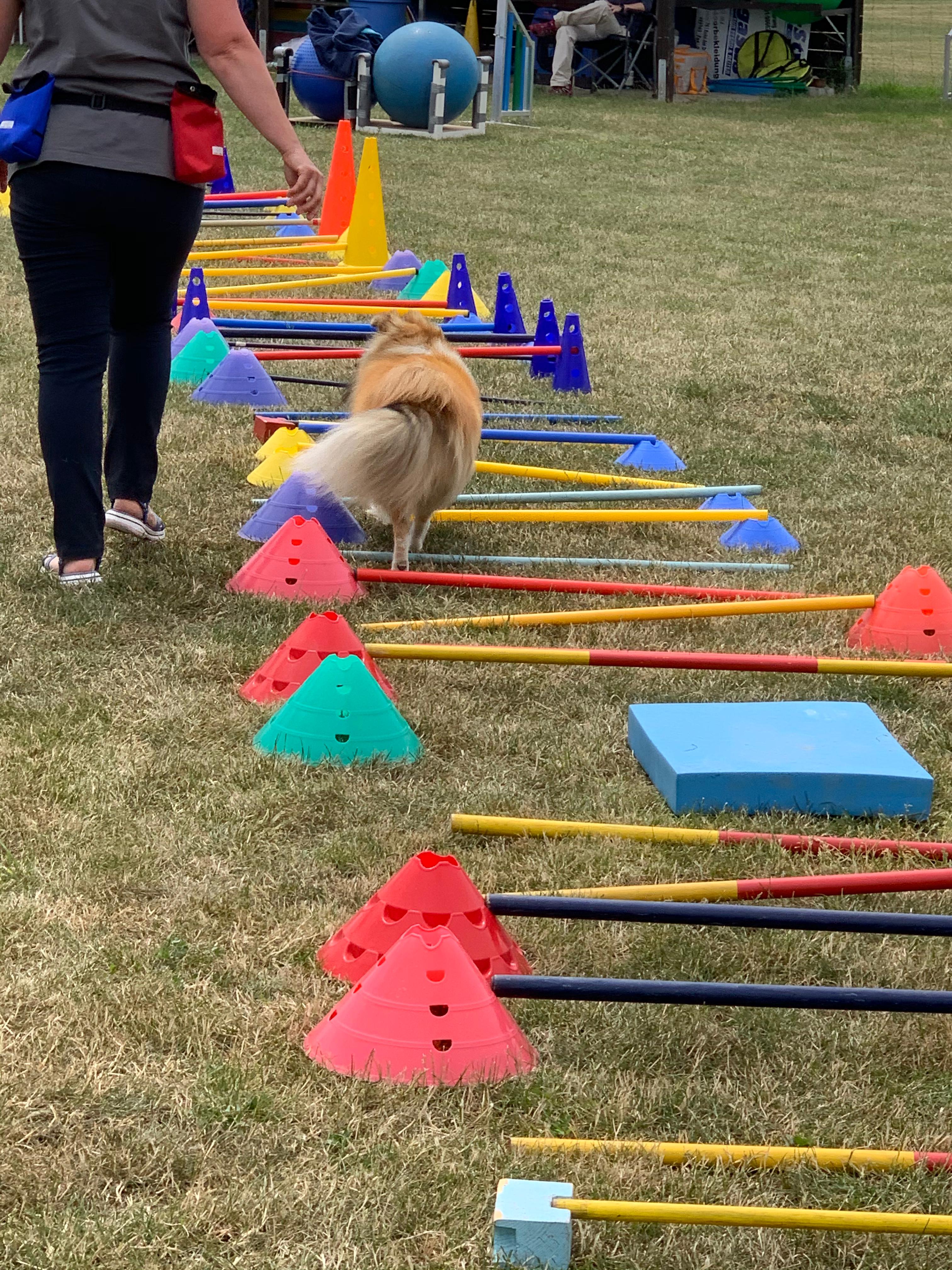 Cavaletti mit Steffi Rumpf - 2027